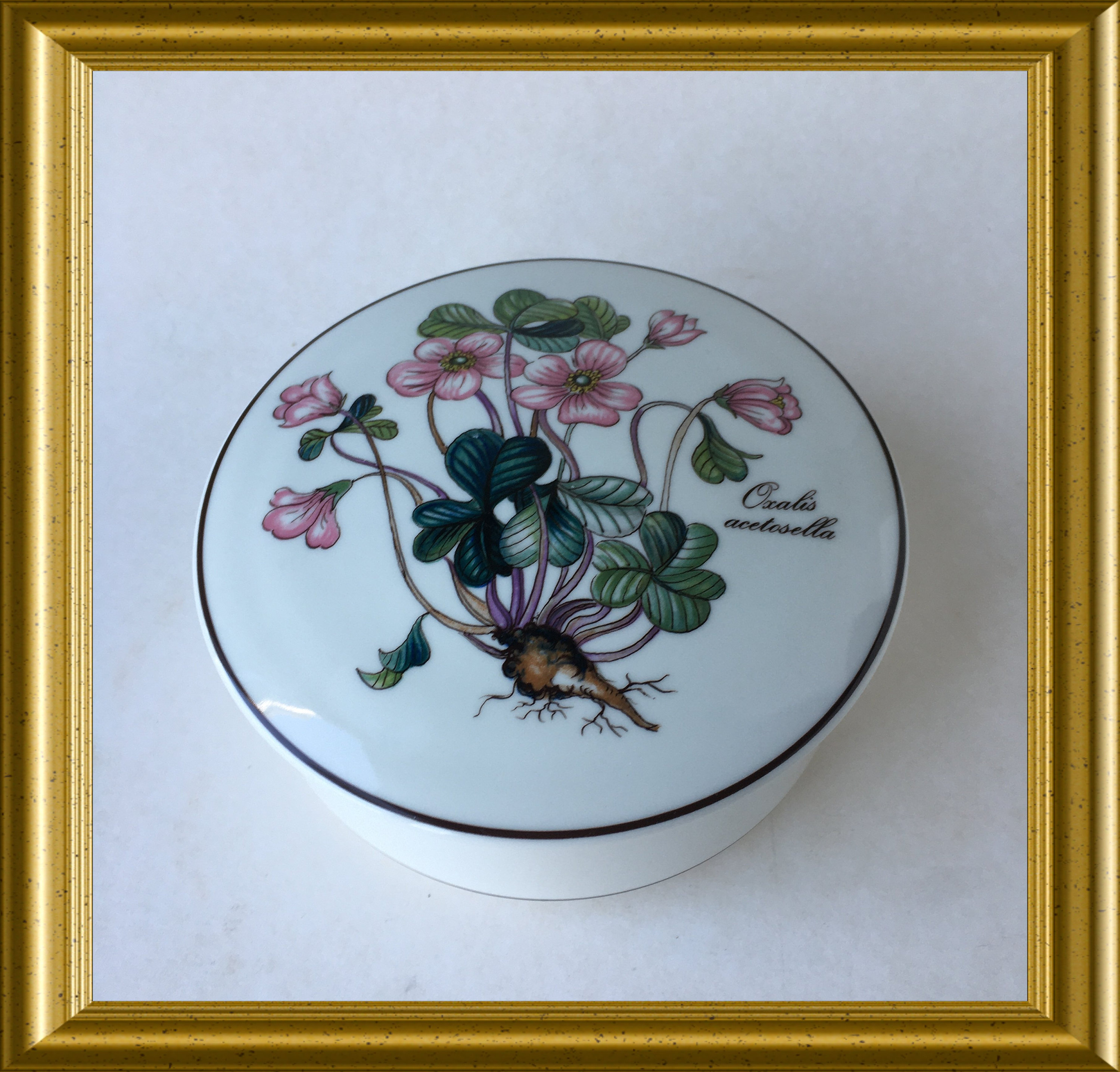 Villeroy & Boch round porcelain trinket box Botanica