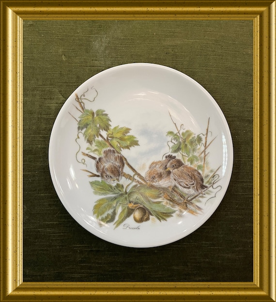 Vohenstrauss Johann Seltmann Bavaria Germany porcelain bird plate