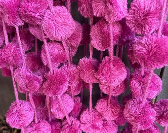 Pink Pom Pom Garland: Mexican Party Wall Decor, Valentine's Gift.