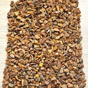 Baltic Amber Lot for Crafting Jewelry raw Specimen 100 gram lot
