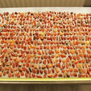 648 pieces Baltic Amber Collection (Jewellery blanks), partly polished for crafting rings, earrings, etc translucent with visible inclusions