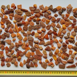 515 g lot of natural and genuine raw amber specimen craftsman gemstone amber for crafting jewellery Bernstein 真正的琥珀