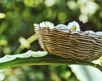 Small rope basket