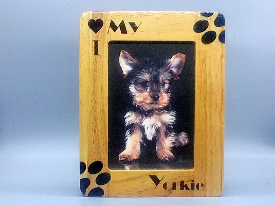 Yorkshire Terrier Photo Picture Frames Dog Photo Picture Etsy