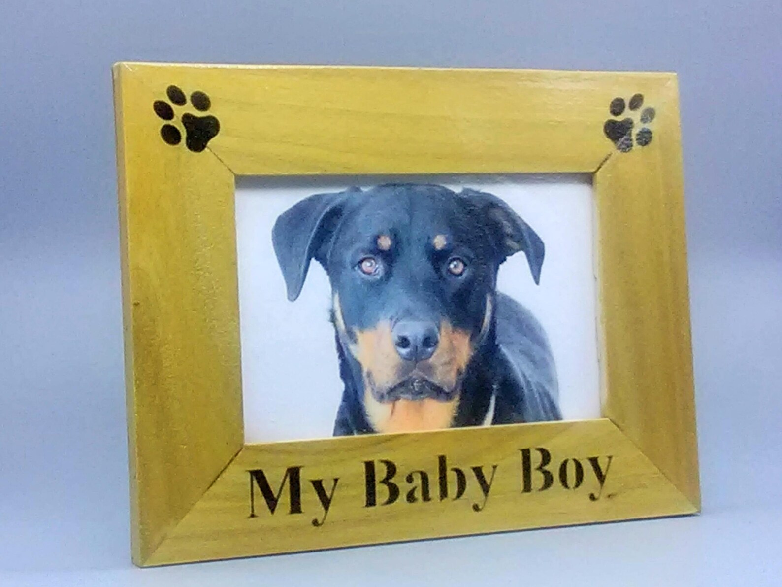 My Baby Boy Picture Frame Pet Picture Frames Dog Picture Etsy