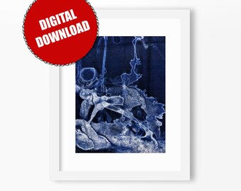 Textures 9 - The X-ray