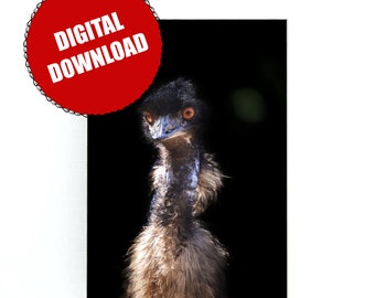 Emu