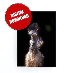 Emu