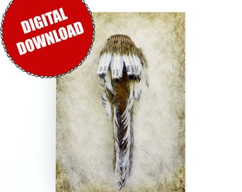 The Headdress