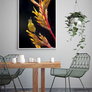 May include: A yellow bird perched on a red and yellow flower with a dark background.