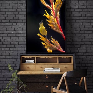 May include: A yellow bird perched on a bright yellow and red flower with a dark background.