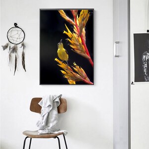 May include: A yellow bird perched on a bright red and yellow flower with a black background.