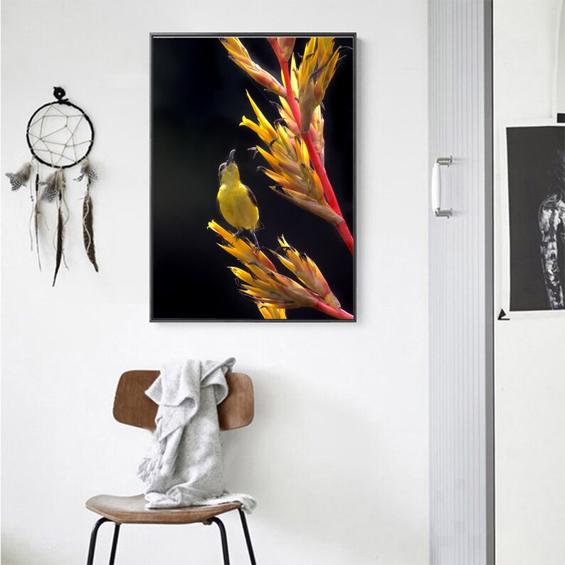 May include: A yellow bird perched on a bright red and yellow flower with a black background.