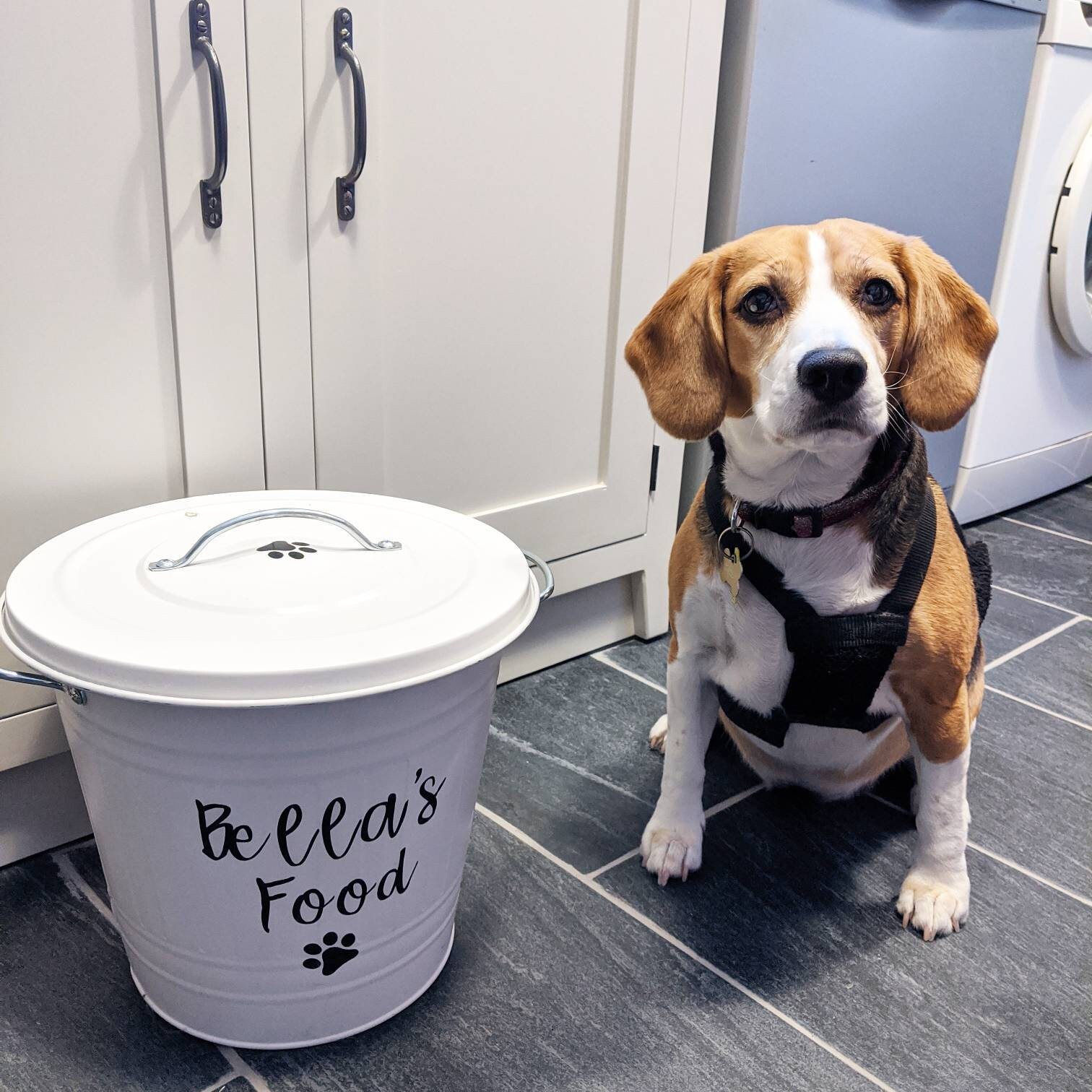 Personalised pet food storage tin dog storage food tin retro Etsy