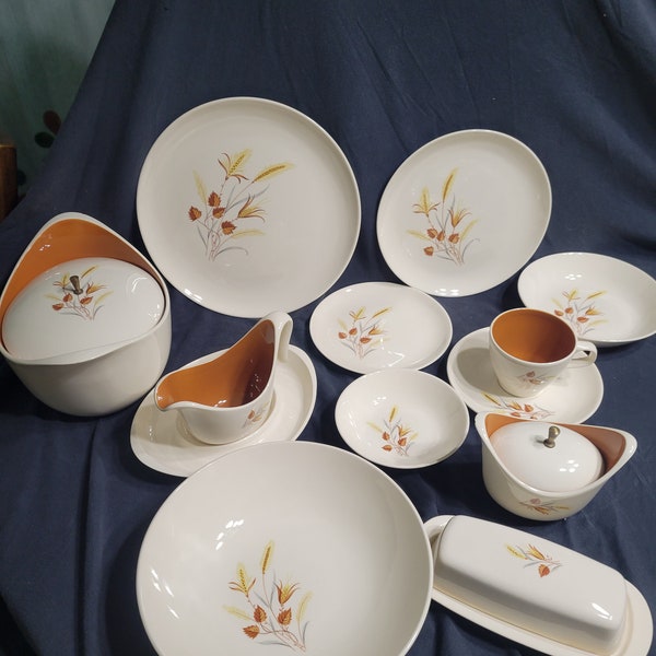 Taylor Smith Taylor Ever Yours Autumn Harvest China - Assorted Pieces