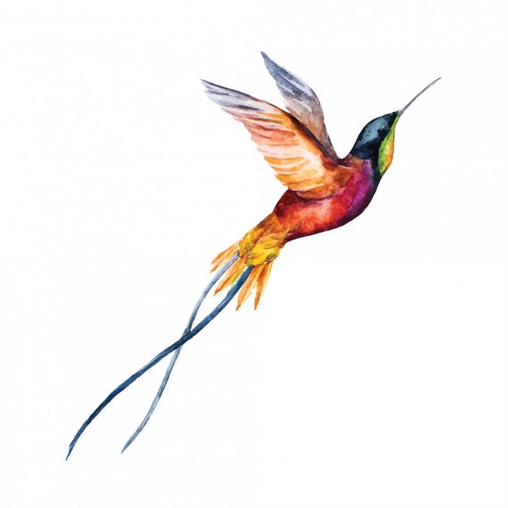Colibri Tatouage Temporaire Oiseau Coloré De Faux Tatouage Tattoo Petit Cou Poignet Flash Tattoo Accessoire De Fête Danniversaire Cadeau