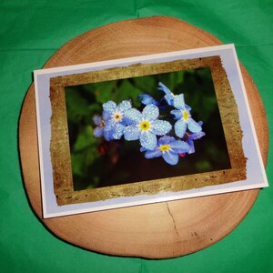 May include: A greeting card with a gold-toned frame featuring a close-up of blue forget-me-not flowers with water droplets on the petals.