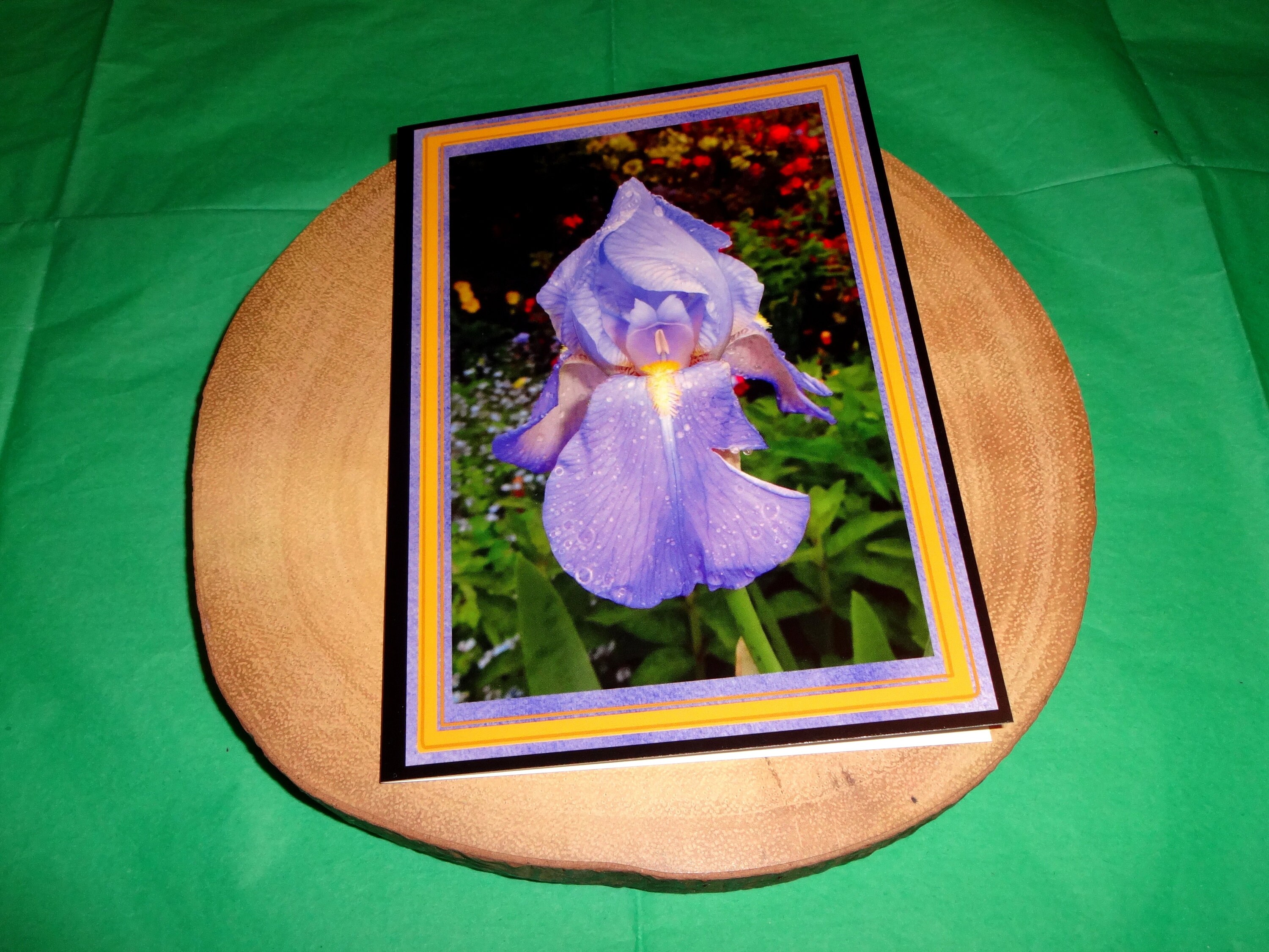 Purple Iris Flower Photo Blank Greetings Card Notelet 7” X 5” 17.8cm X ...
