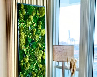 Large Lush Moss Wall Art – Preserved Moss & Fern Framed Decor