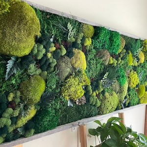 Moss Wall Art, Barn Wood frame, Moss Art Work, Moss Art, Preserved Moss Art.