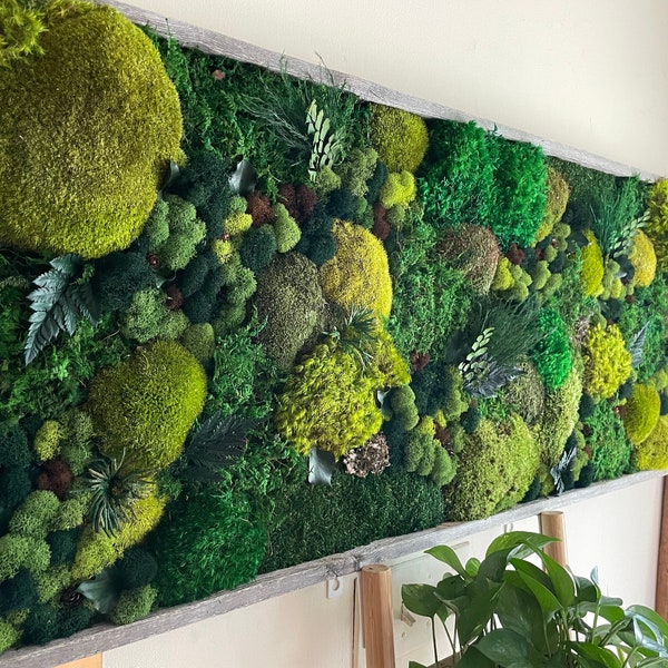 Moss Wall Art, Barn Wood frame, Moss Art Work, Moss Art, Preserved Moss Art.