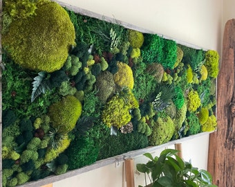 Moss Wall Art, Barn Wood frame, Moss Art Work, Moss Art, Preserved Moss Art.