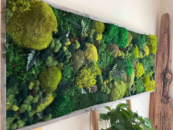 DIY Natural Moss Wall Tile- Interior Wall Features (Spring Green)