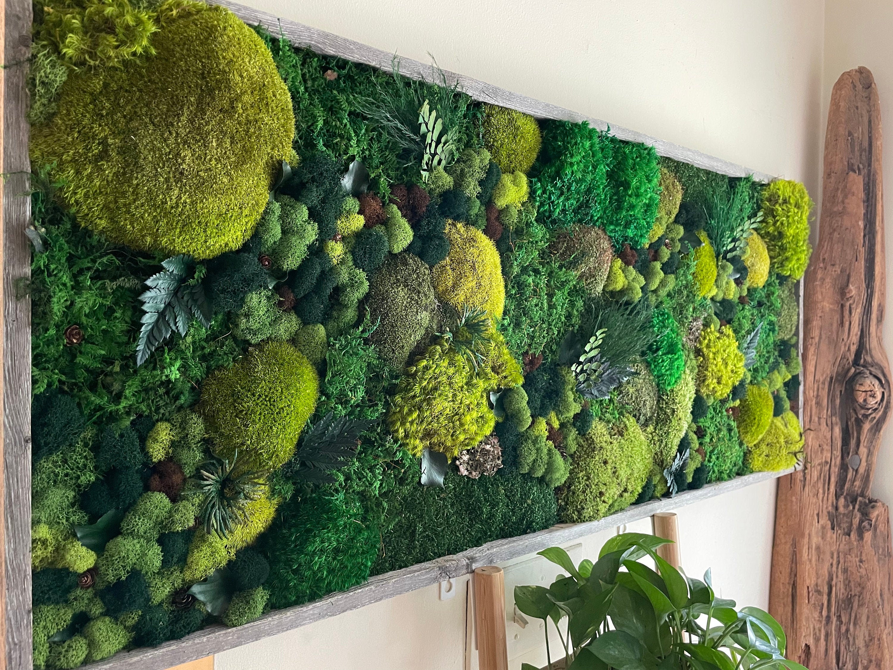 Green Moss Wall Decor Frame, For Decoration, Size: 30'' at Rs 1500