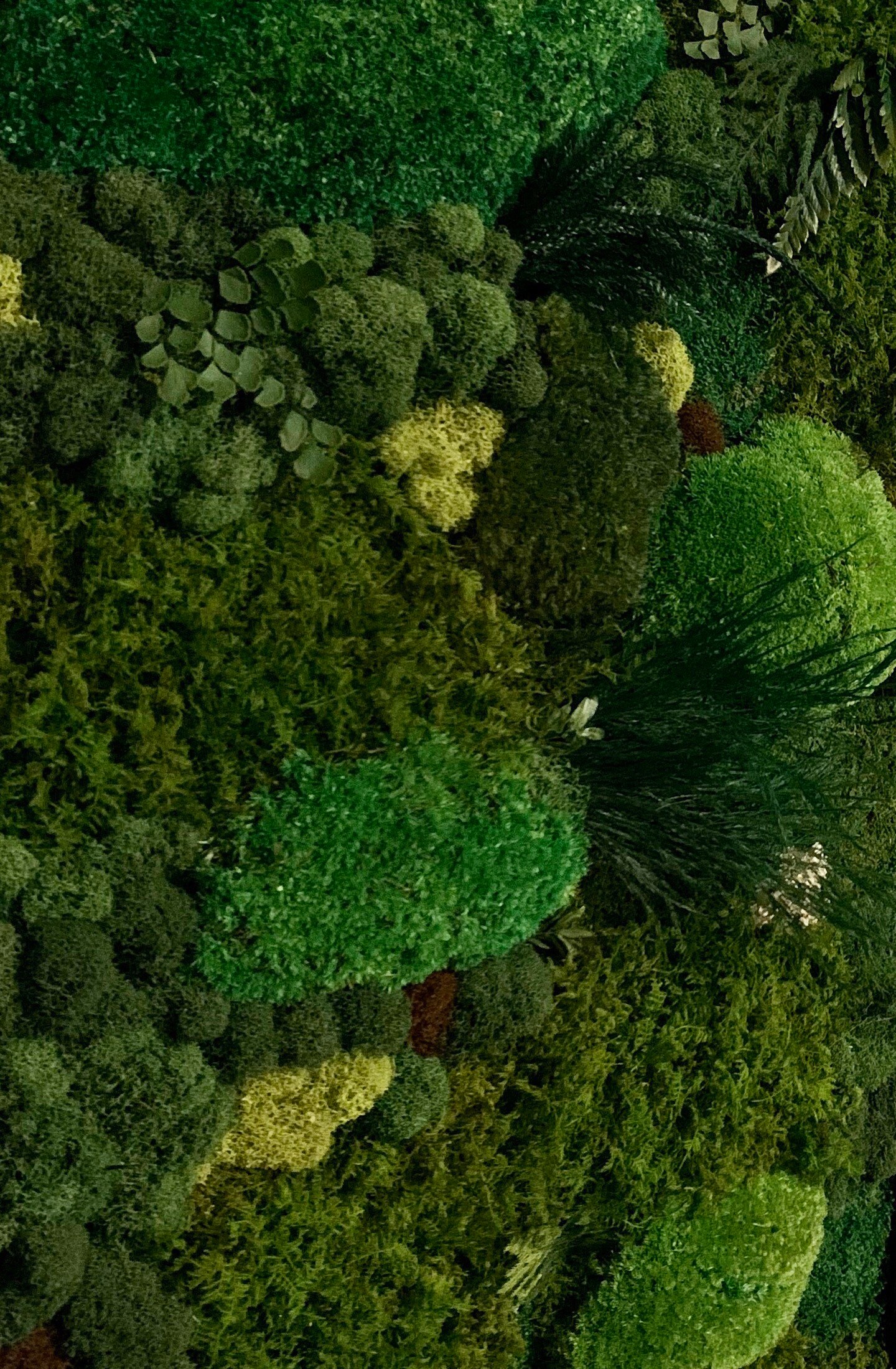 Moss Wall Art Moss Art Work Moss Art Preserved Moss Art Etsy