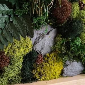 May include: Close-up of a natural moss wall art piece. The artwork features a variety of textures and colors, including shades of green, brown, and yellow moss, with a dark green fern and a small pine cone. A gray stone adds a natural element.