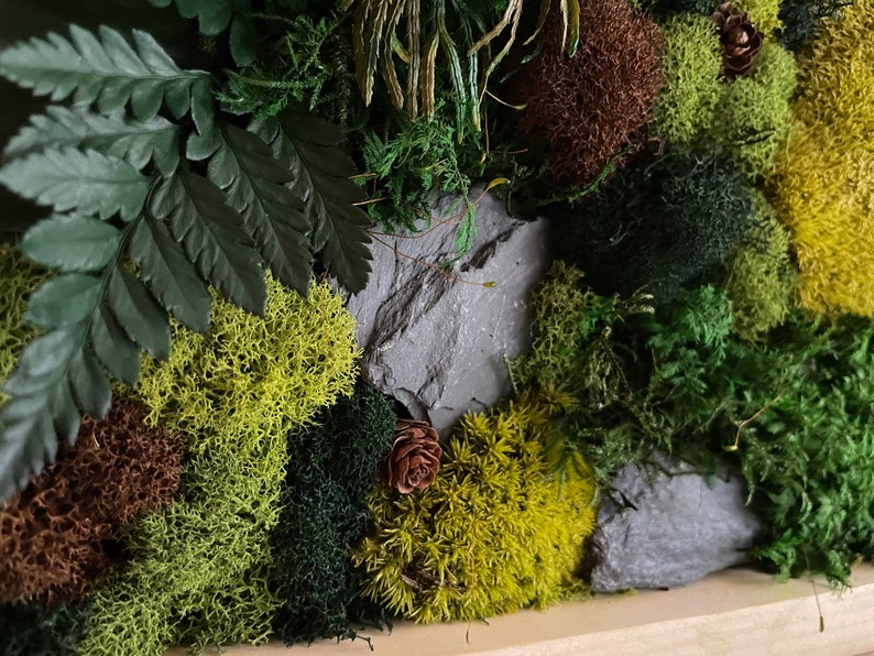 May include: Close-up of a natural moss wall art piece. The artwork features a variety of textures and colors, including shades of green, brown, and yellow moss, with a dark green fern and a small pine cone. A gray stone adds a natural element.