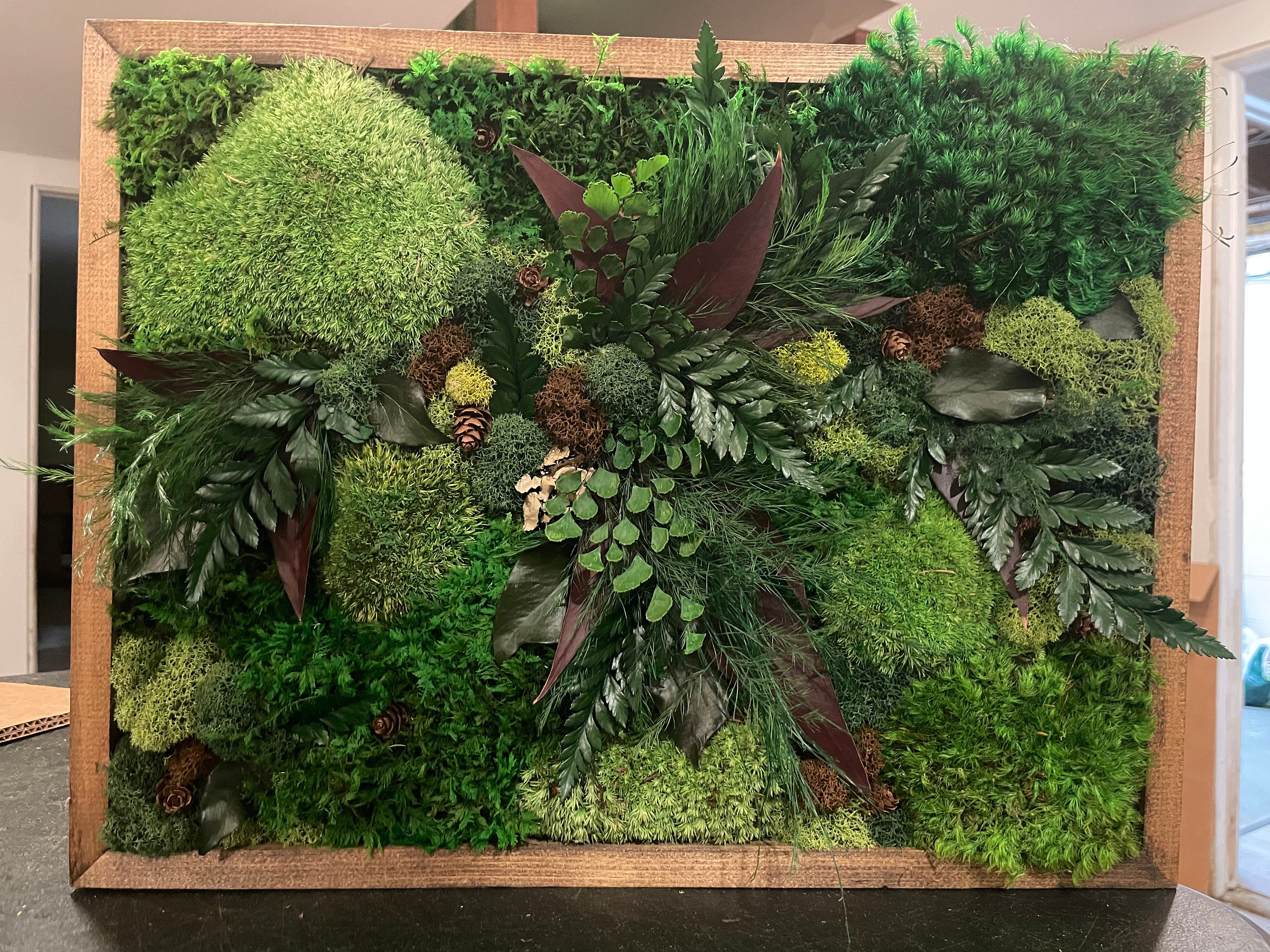 Design Your Indoor Plant Wall Art  Moss Walls & Plant Walls – Forest Homes