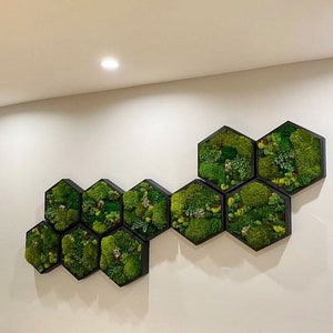 Moss Art. Hexagon. Moss Wall Art. Collage Art. Wall Collage. Moss Art. Gifts image 10
