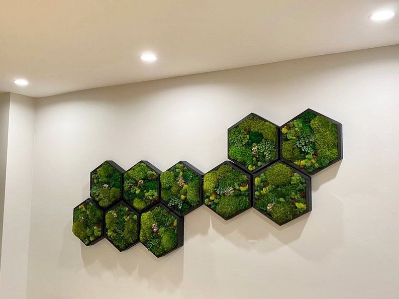 Moss Art. Hexagon. Moss Wall Art. Collage Art. Wall Collage. Moss Art. Gifts image 10