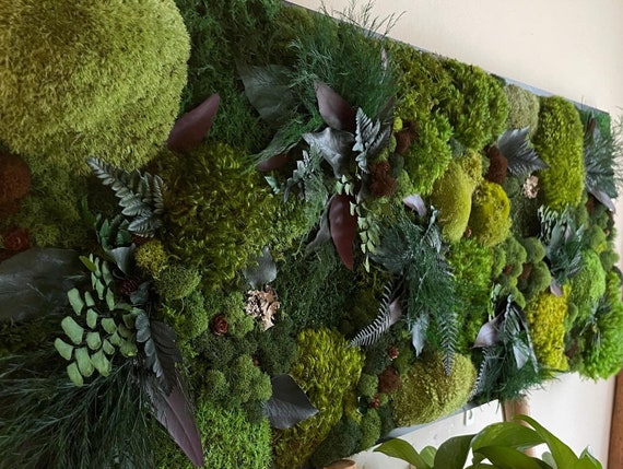 Arte de la pared de musgo. Arte del musgo. Musgo preservado. Muro vivo.  Decoración de pared con plantas. -  España