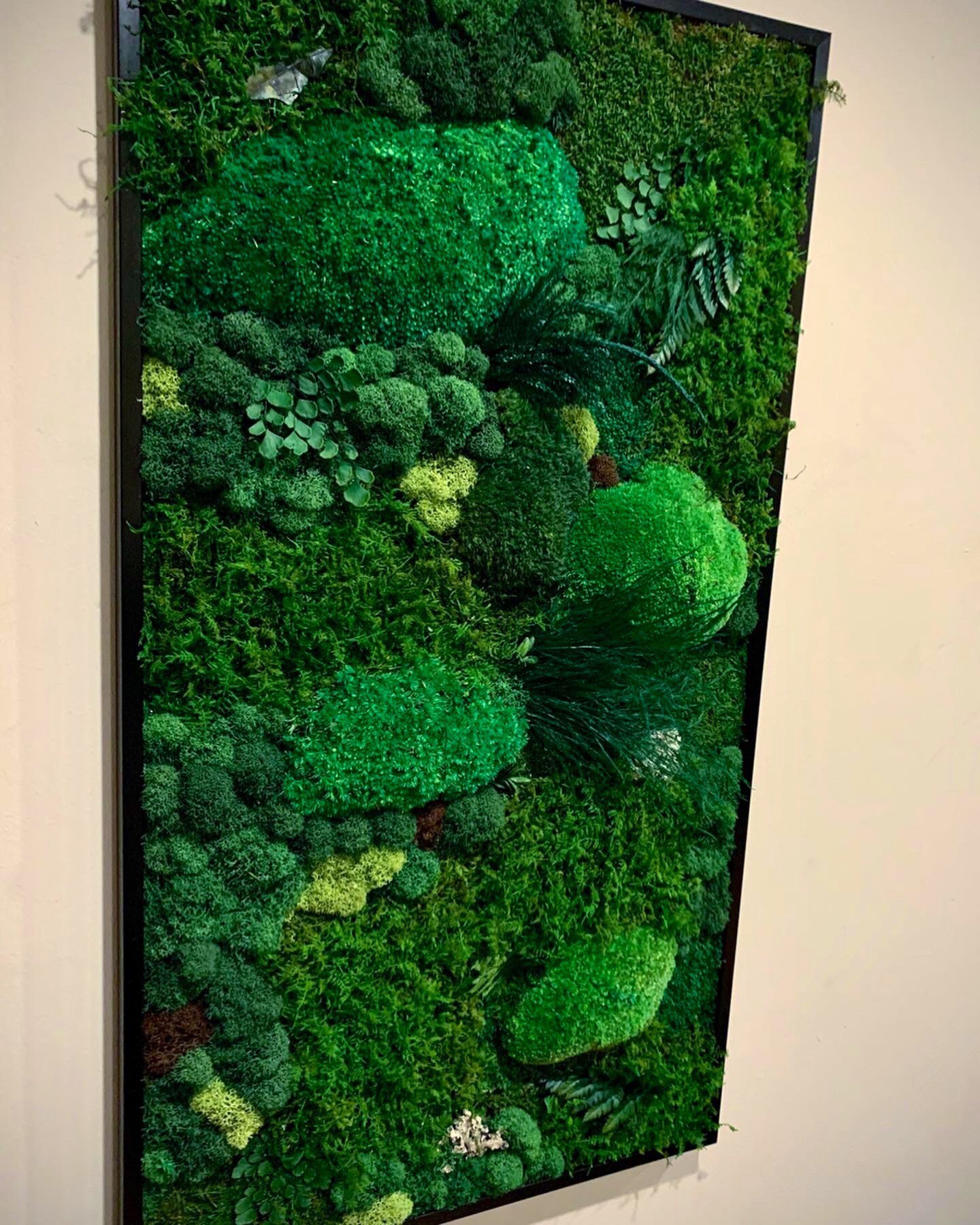 Moss Wall Art Moss Art Work Moss Art Preserved Moss Art Etsy