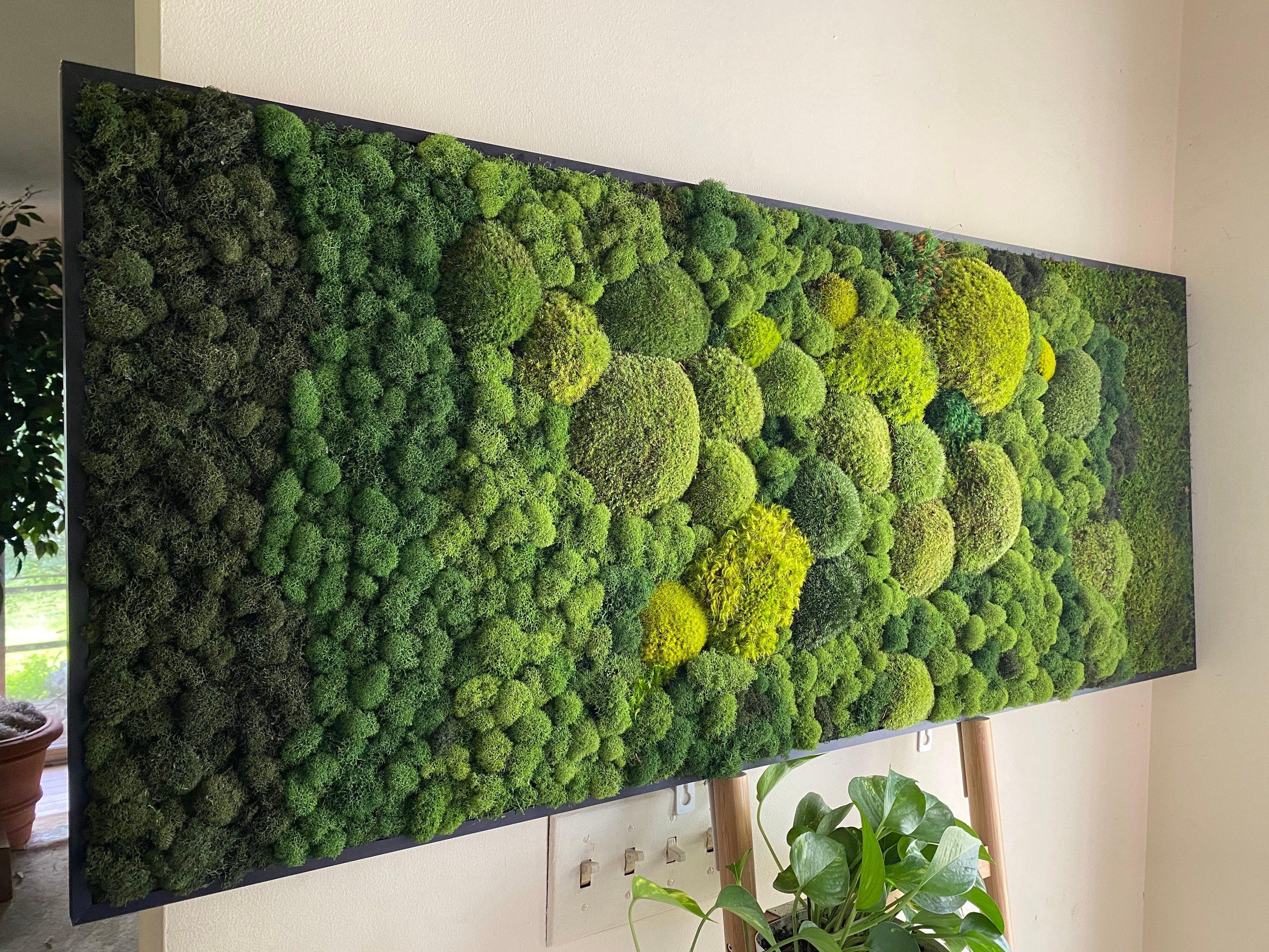 Moss Wall Art Ombré Modern Art Moss Art Work Moss Art Etsy