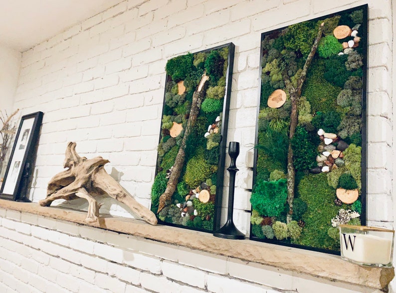 Living Wall Moss Wall Art 12x24 Preserved Moss Etsy