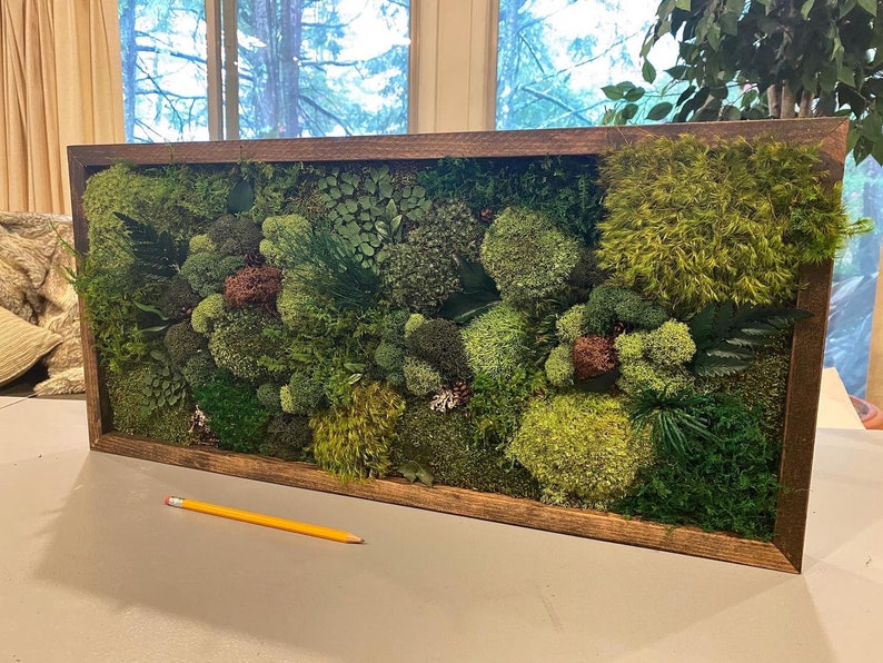 Moss Wall Art Wood frame Moss Art Work Moss Art Preserved Etsy
