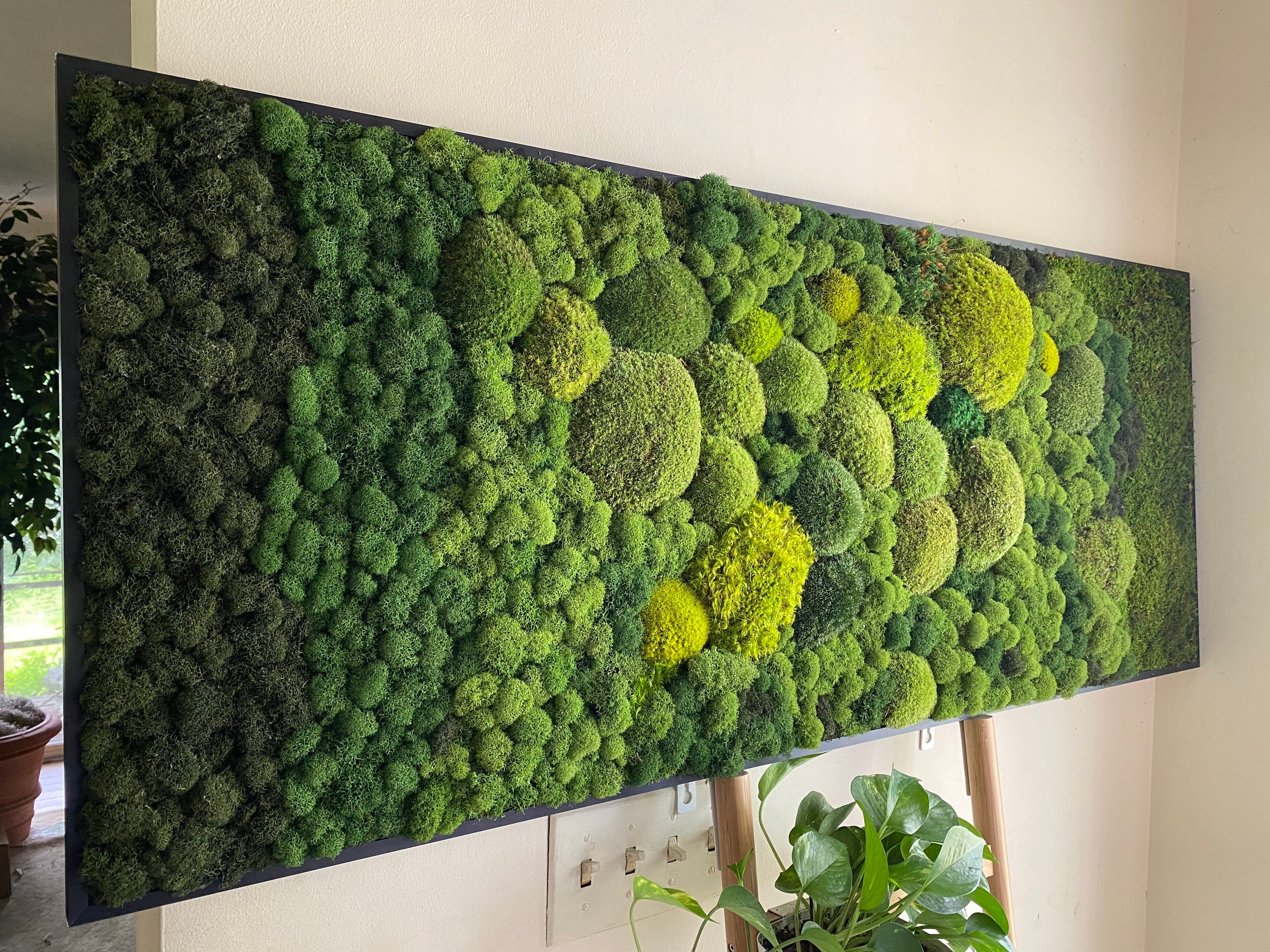 Moss Wall Art Ombré Modern Art Moss Art Work Moss Art Etsy