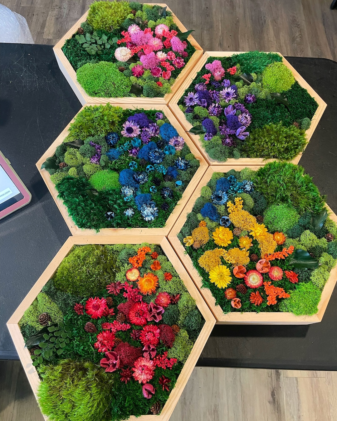 Moss Art Hexagon With Flowers Moss Wall Art Collage Art Wall moss-art-hexagon-with-flowers-moss-wall-art-collage-art-wall