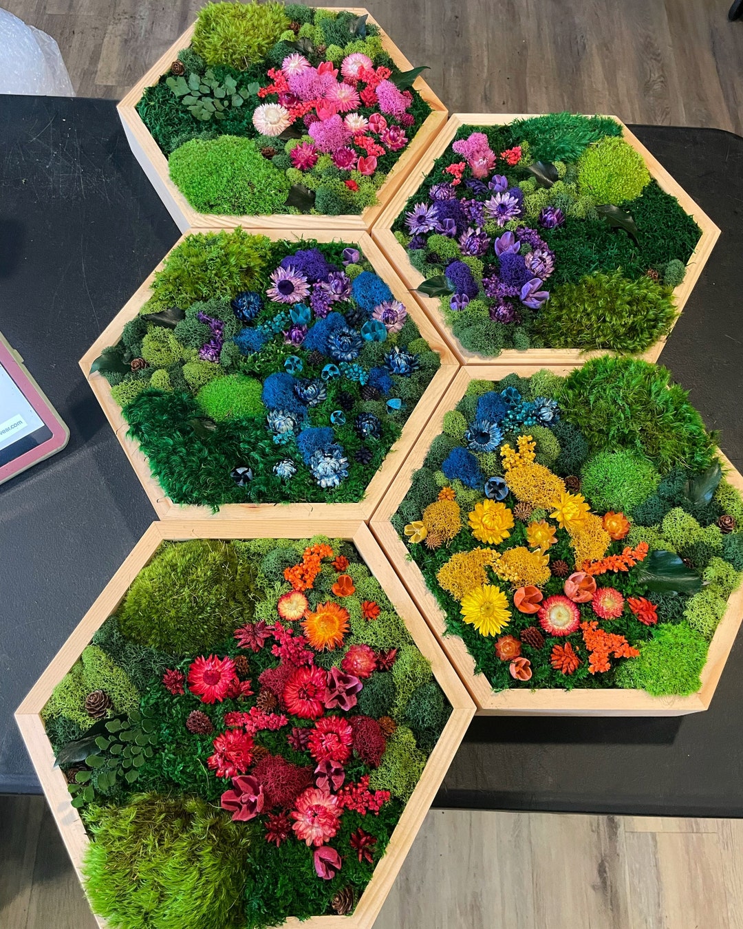 Moss Art Hexagon With Flowers Moss Wall Art Collage Art Wall 