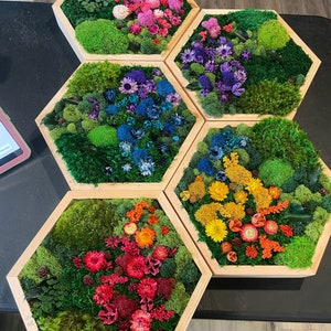 Moss Art. Hexagon with Flowers. Moss Wall Art. Collage Art. Wall Collage. Moss Art.