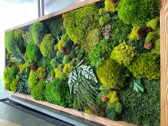 Moss Wall art, Living wall art, Preserved Moss Wall