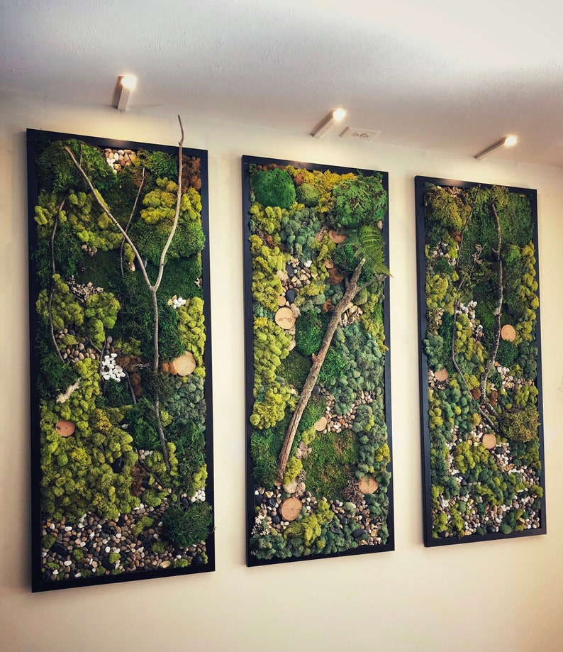 Living Wall Moss Wall Art 55x22 Aerial Collection Etsy
