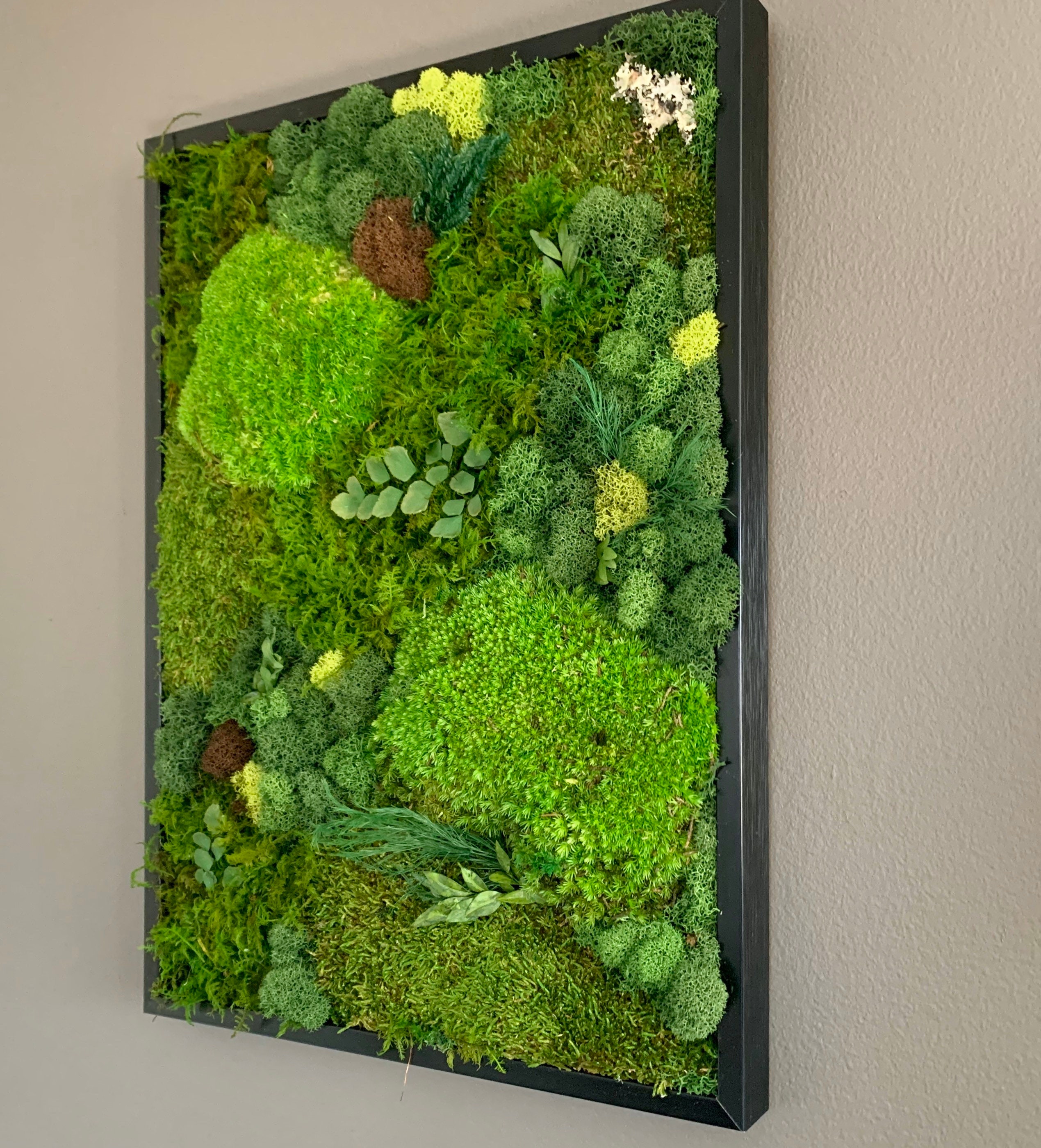 Moss Wall Art Moss Art Work Moss Art Preserved Moss Art Etsy