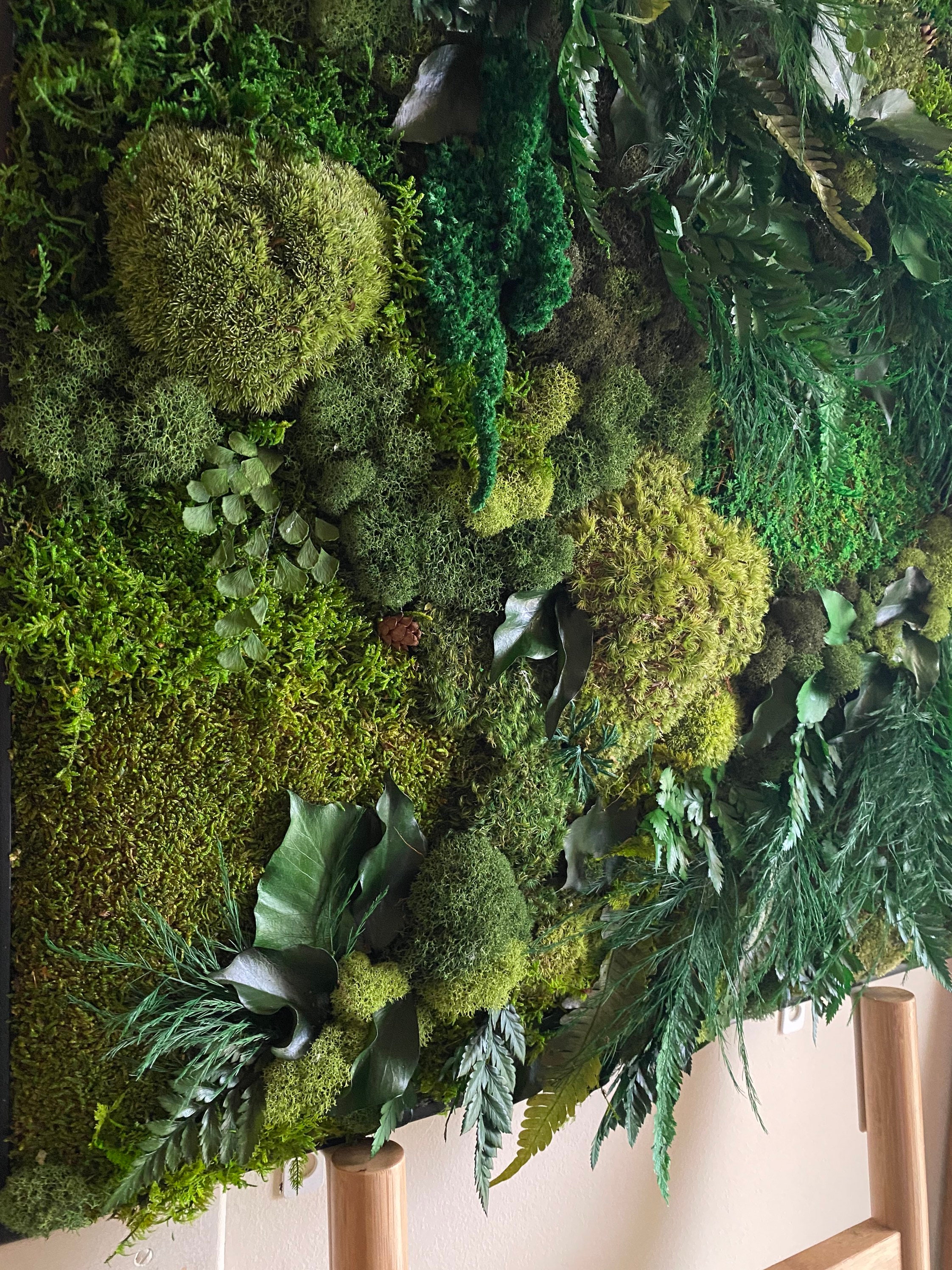 Moss Wall Art, Large Preserved Moss Decor, Living Plant Decor