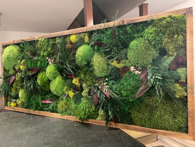 Lavish Moss Wall Art Moss Art Work Moss Art Preserved Moss Etsy