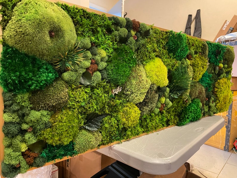Lush. Large Moss Wall Art Moss Art Work Moss Art Preserved Etsy