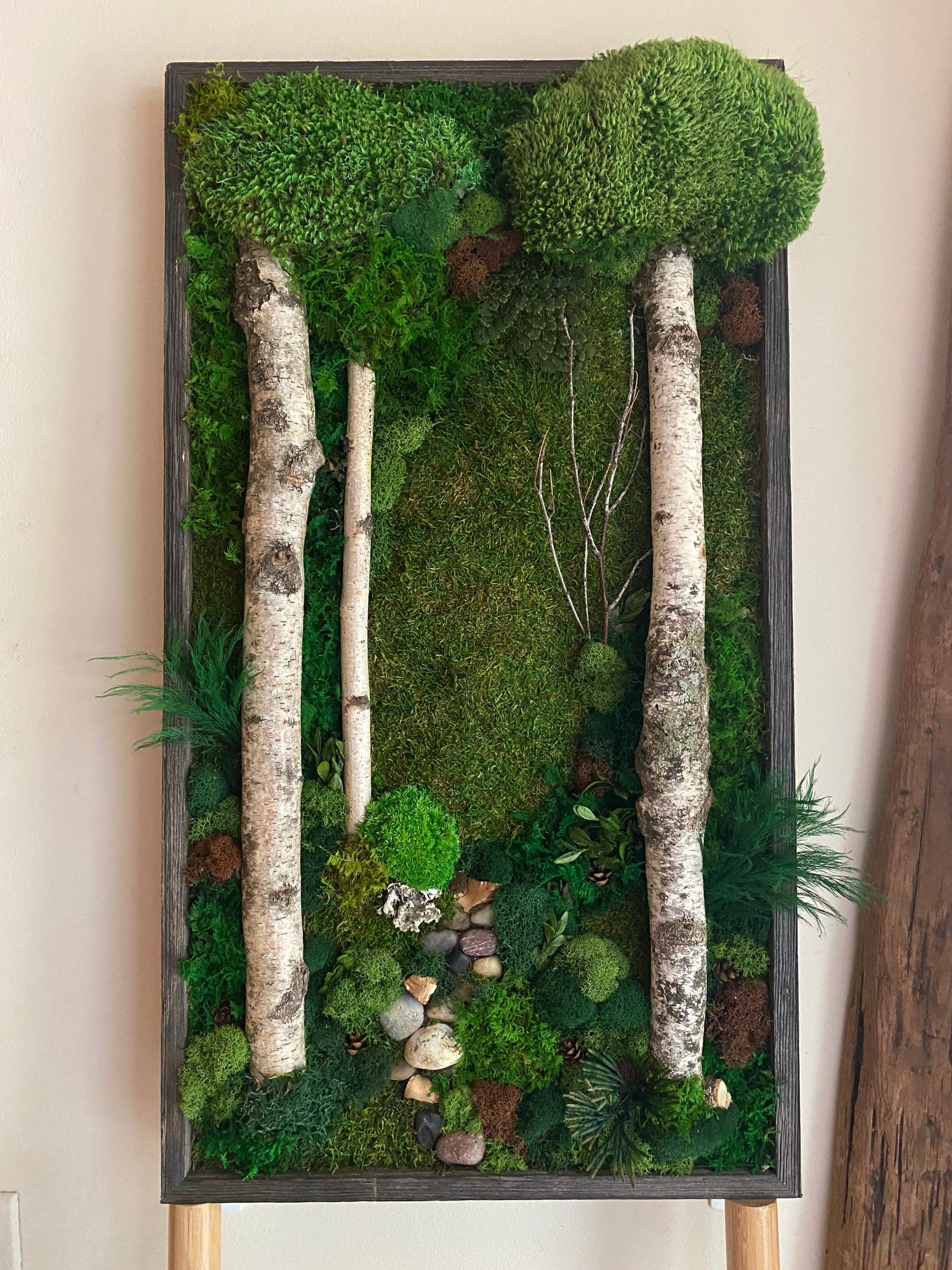 Moss Wall Art. 26x14. Preserved Moss Art. Birch Etsy